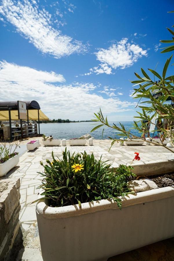 Sea View Apartment Umag 1 Eksteriør bilde